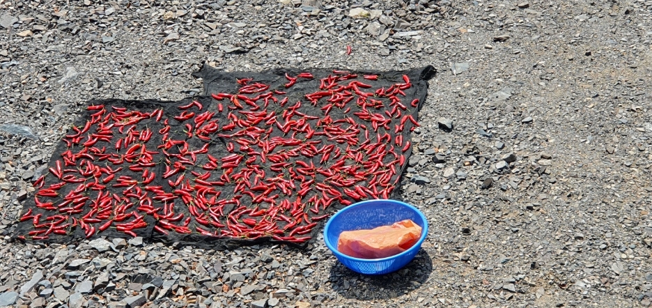 img.jpg