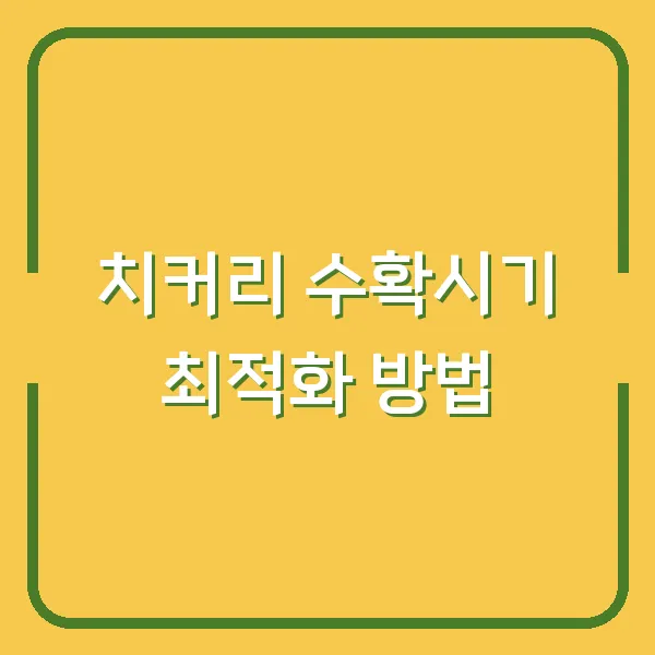 치커리 수확시기 최적화 방법