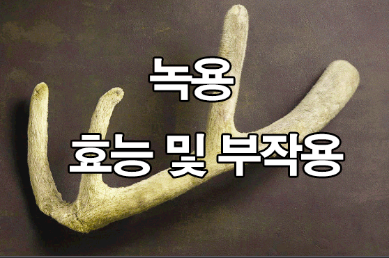  녹용 효능 및 부작용 : 효과