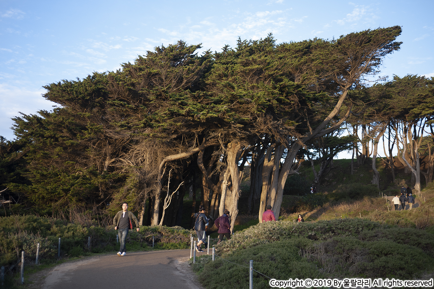 샌프란시스코 땅끝 마을 랜즈 엔드 LANDS END TRAIL