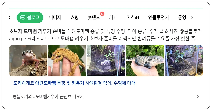 도마뱀 키우기_1_subsection