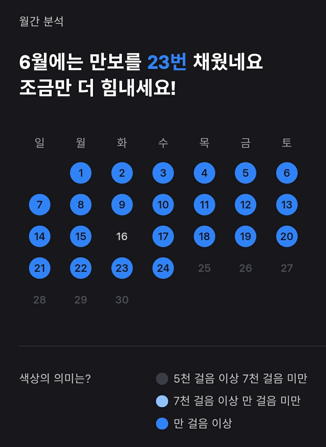 삼성헬스 월간분석
