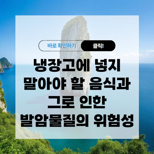 냉장고에 넣지 말아야 할 음식 발암물질 위험성 알아보기