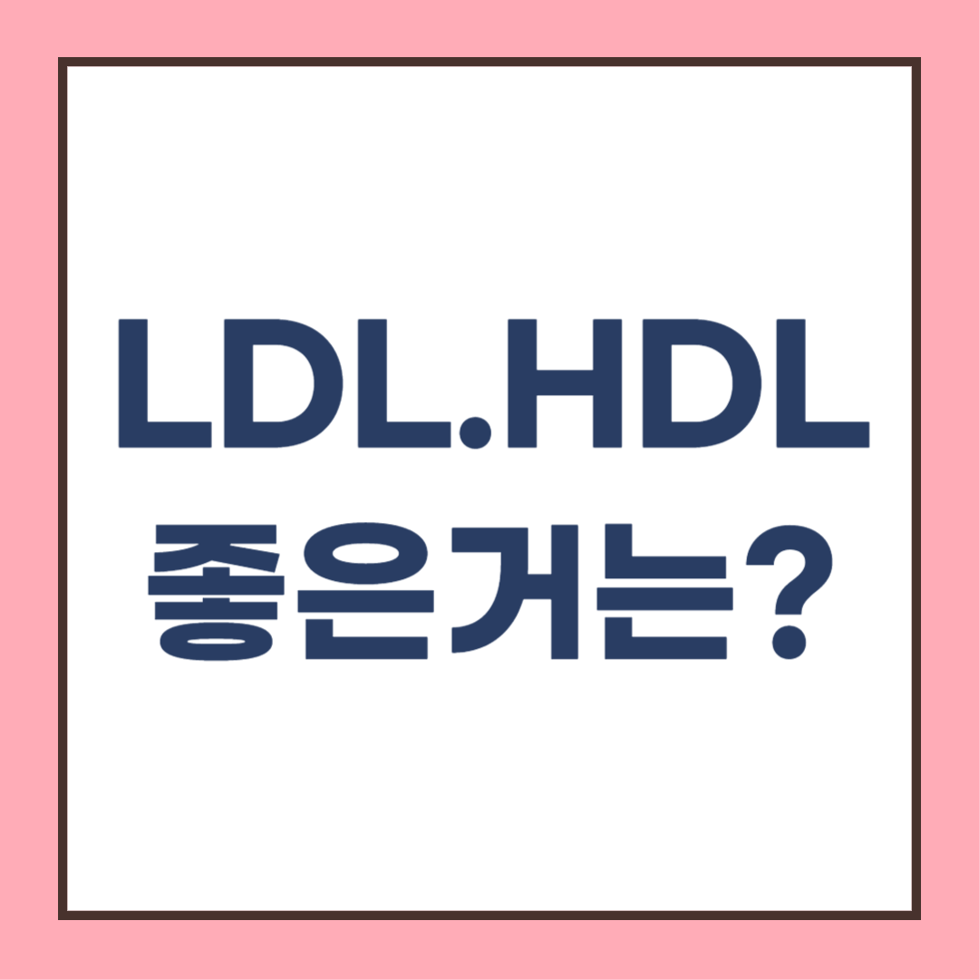 LDL 콜레스테롤, HDL, 중성지방 좋은 콜레스테롤은?