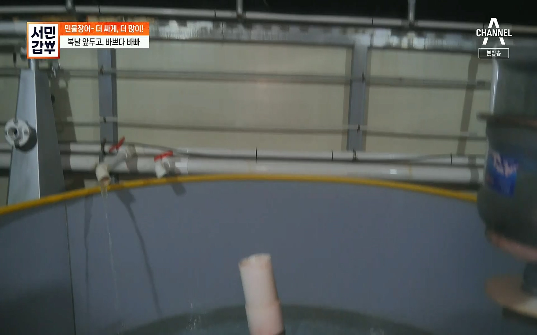 서민갑부.E396.220813p.H264-F1RST.mp4_20220814_172708.366.jpg