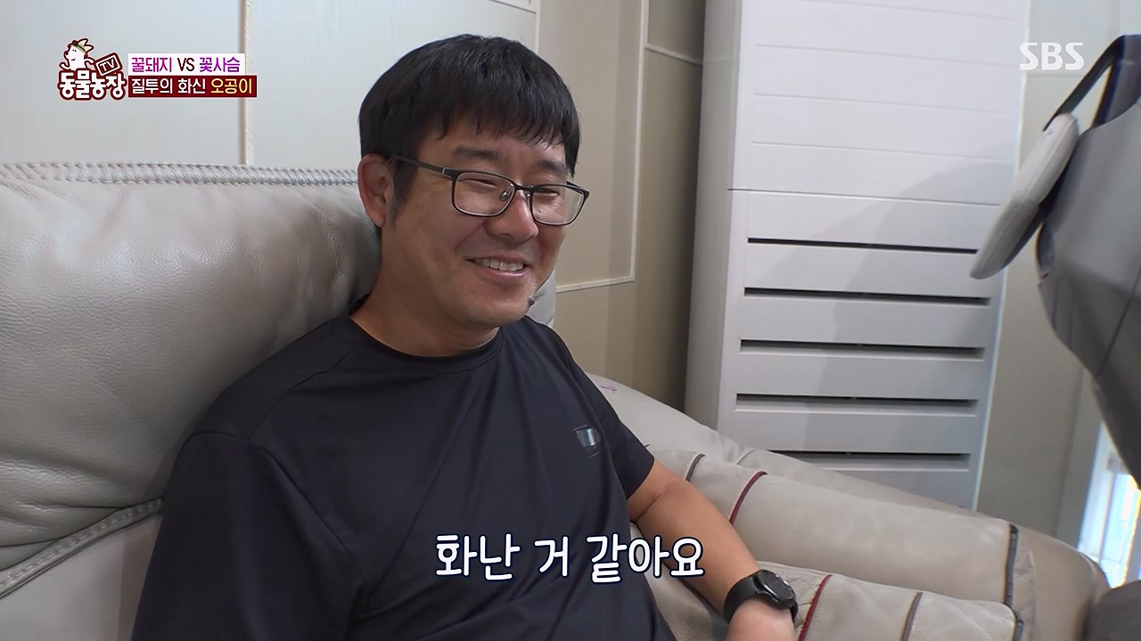 TV 동물농장 1189화 다시보기.ts_20240922_161948.693.jpg