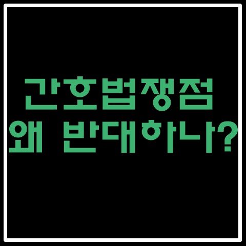 간호법-반대하는이유