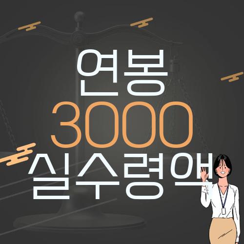 연봉 3000 실수령액