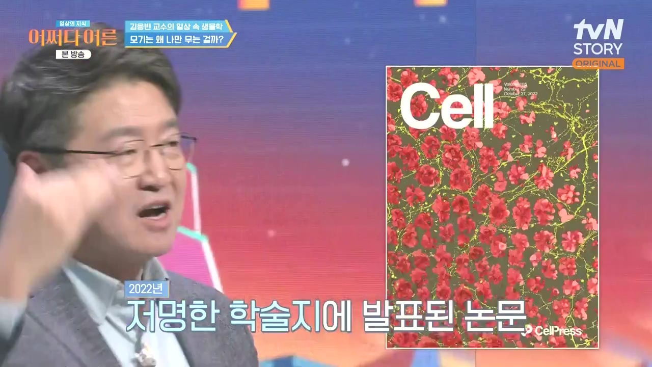 어쩌다 어른.E51.240410p-NEXT.mp4_20240410_173633.505.jpg