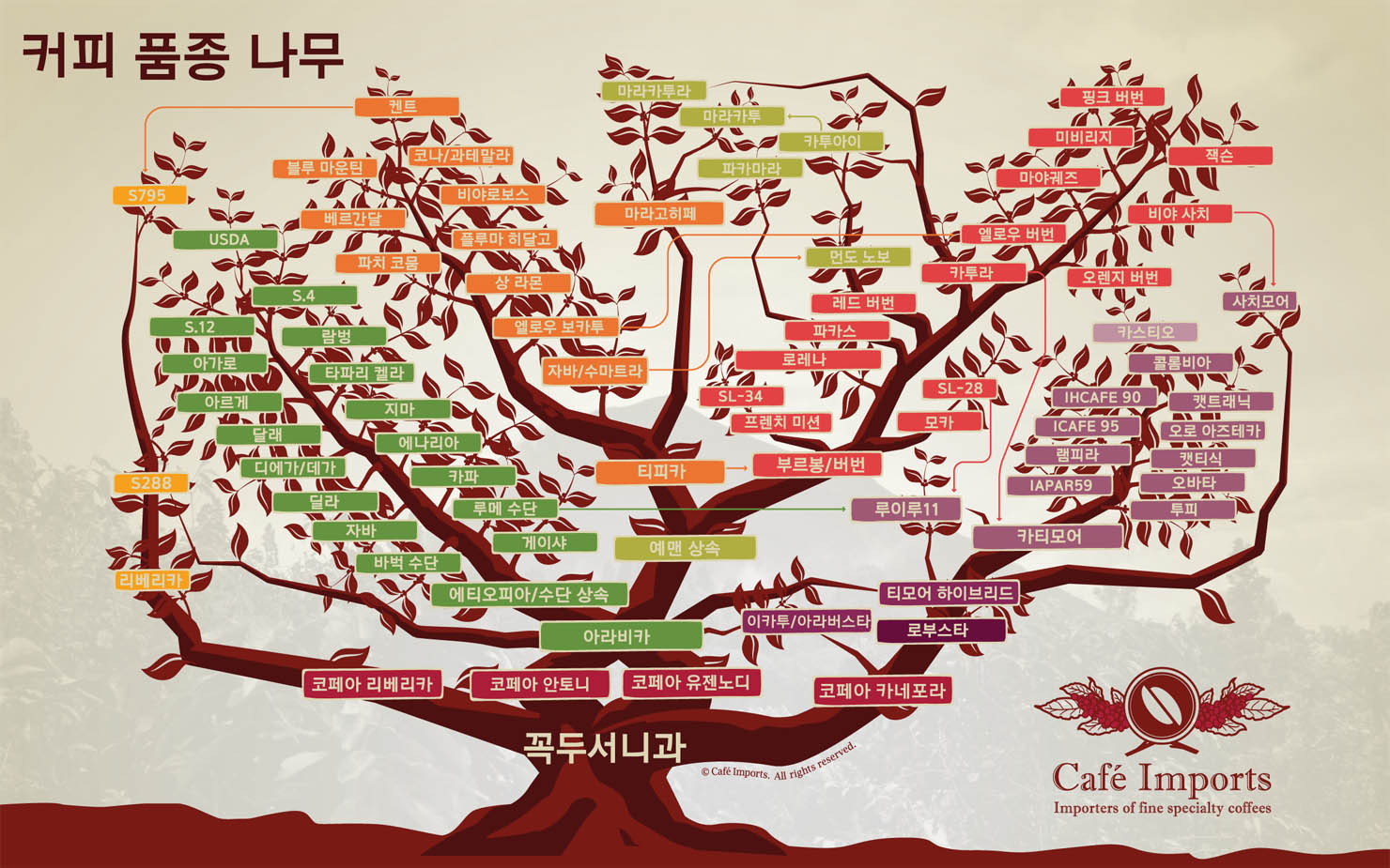 CoffeeTree 이미지