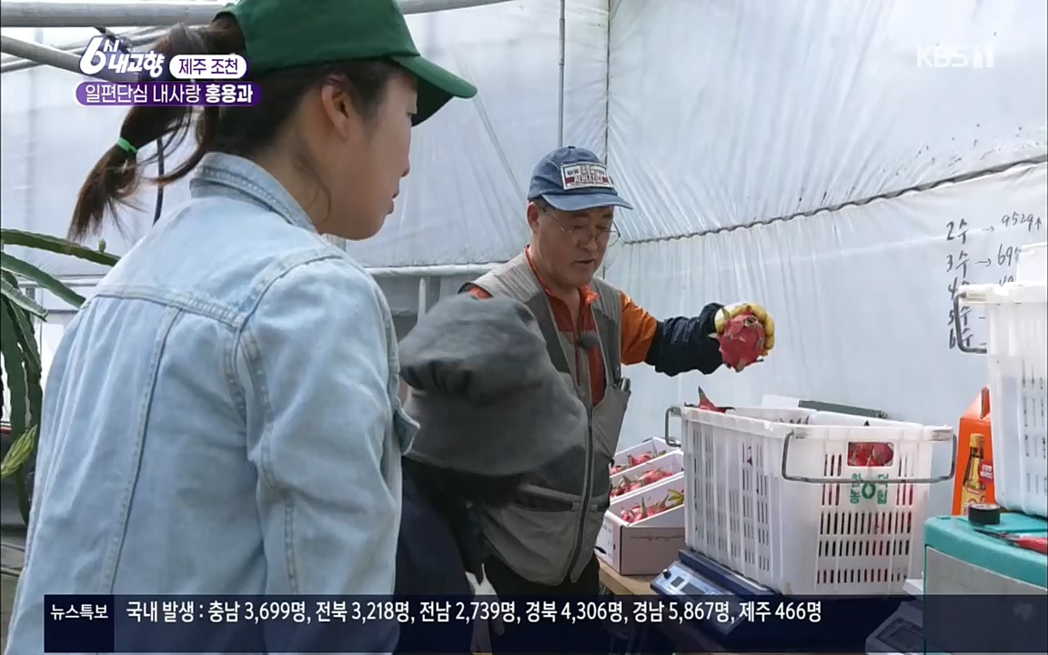 6시 내고향.E7617.220915p.H264-F1RST.mp4_20220916_213054.335.jpg