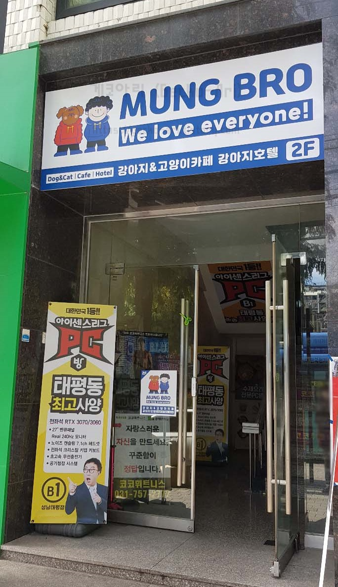 멍브로 이미지