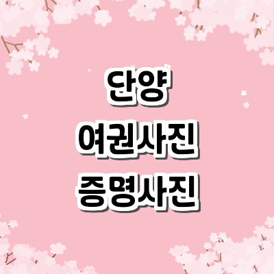 단양군 여권사진