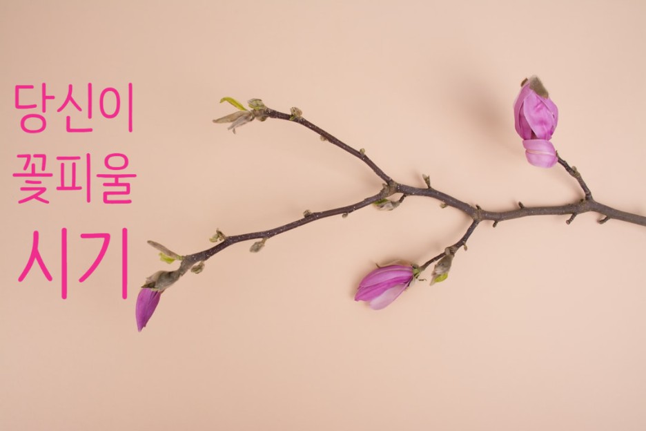 당신이꽃 이미지