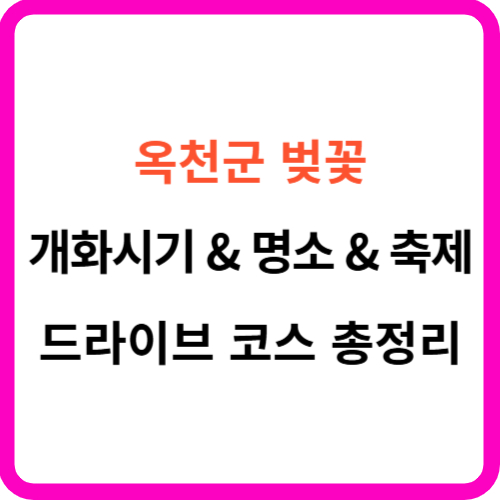 옥천 벚꽃 개화시기 축제 명소 드라이브 코스 를 한눈에! 썸네일