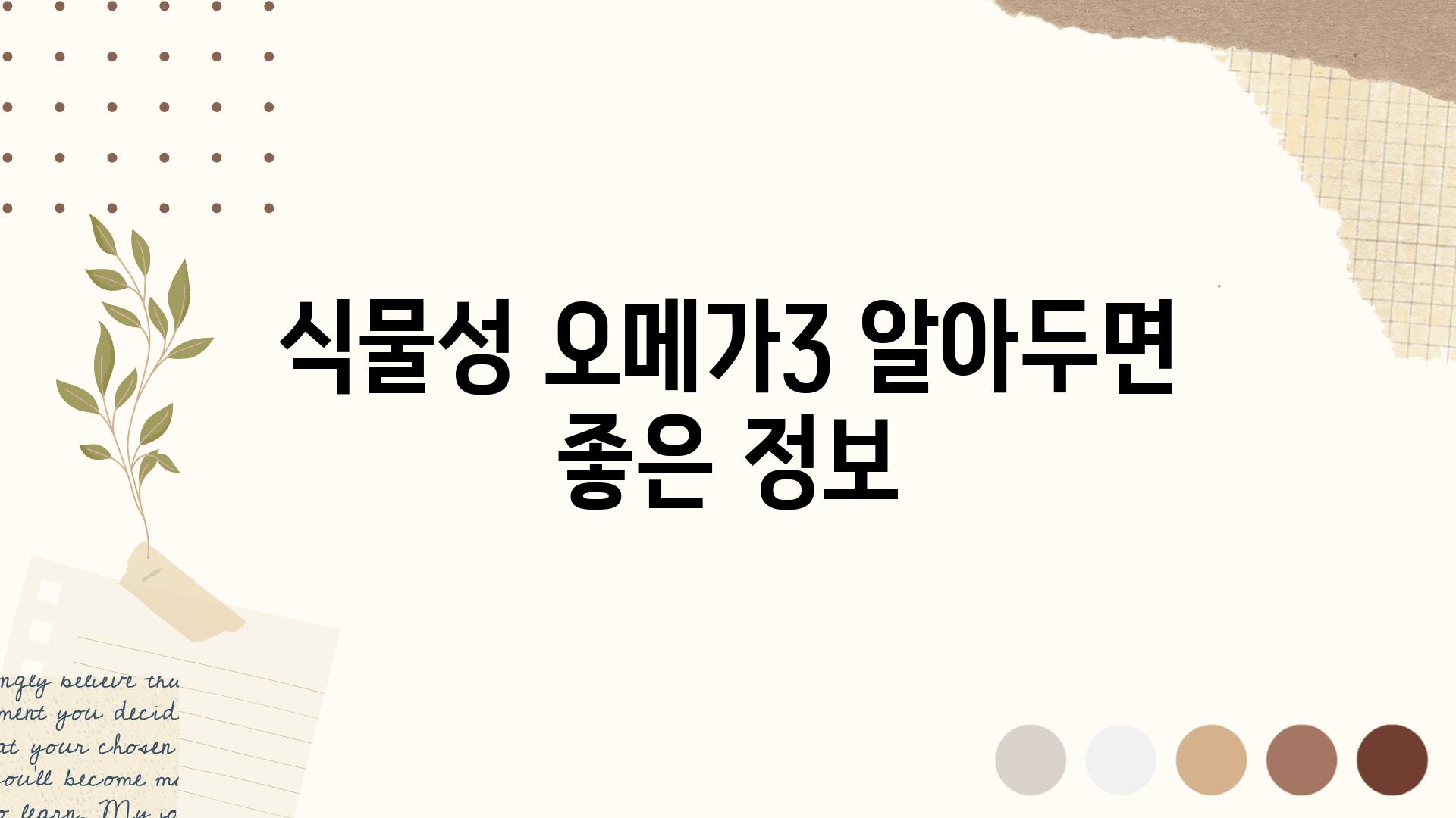 식물성 오메가3 알아두면 좋은 정보