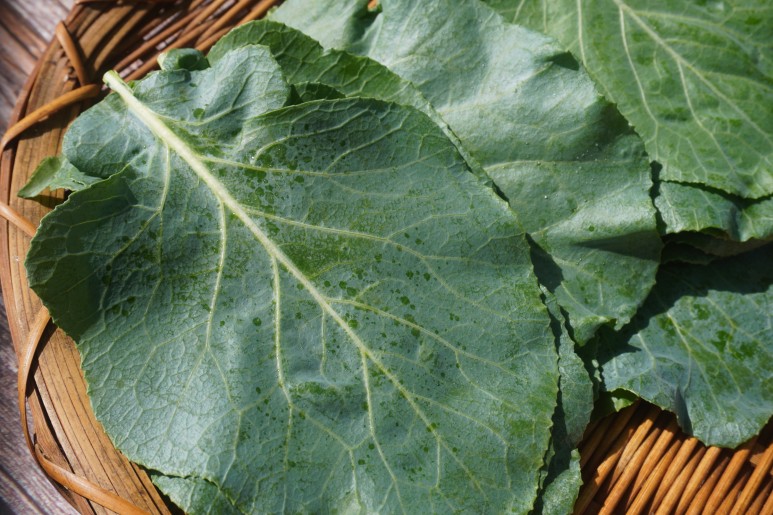 글루타치온 식품 글루타치온 효과와 1