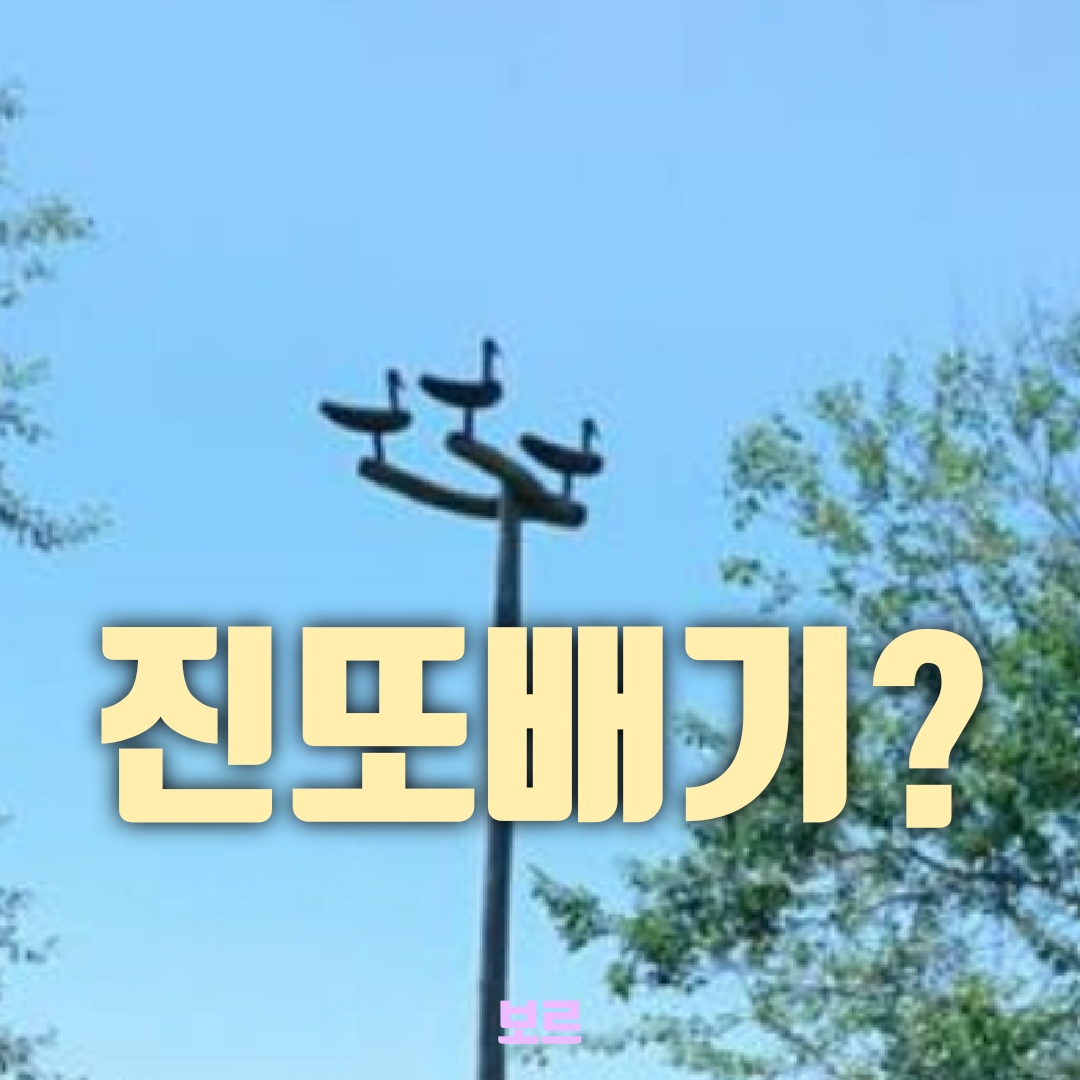  진또배기 뜻, 짐대박이의 사투리