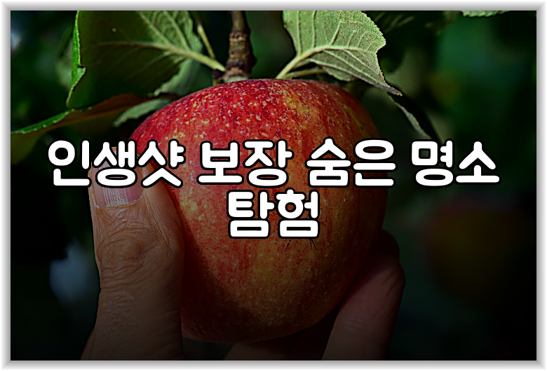 인생샷 보장 숨은 명소 탐험