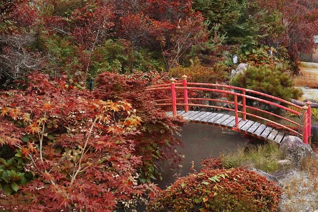 의림지에서 본 단풍나무와 다리