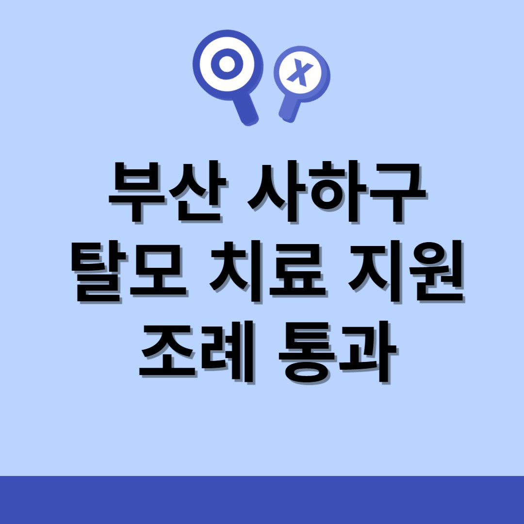  부산 처음 사하구에서 청년들의 탈모 치료 비용 지원