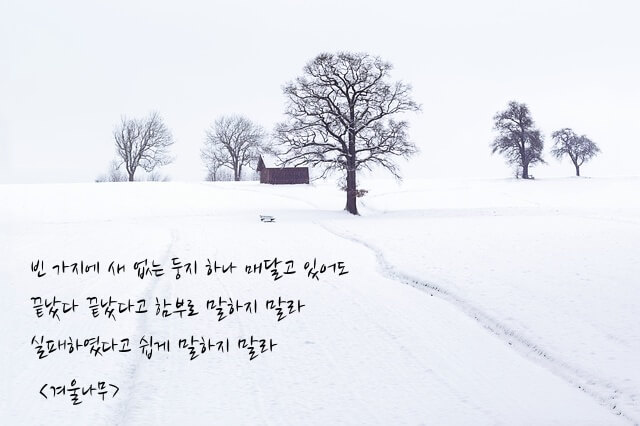&lt;겨울나무&gt; 시 일부 들어간 이미지