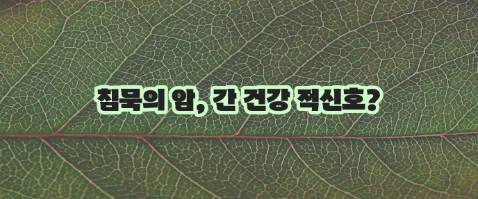 간암 초기증상과 5가지 원인 꼭 알아야 합니다