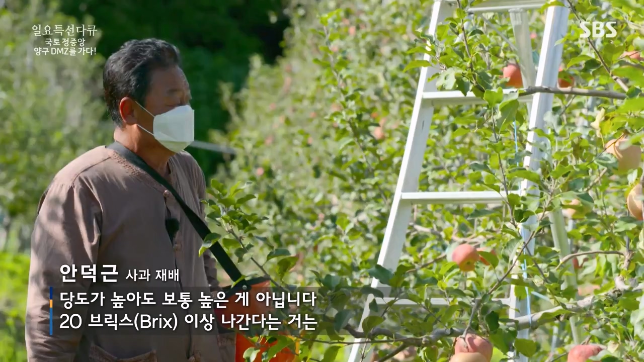 일요특선 다큐멘터리.E344.231204p-NEXT.mp4_20231206_194840.686.jpg