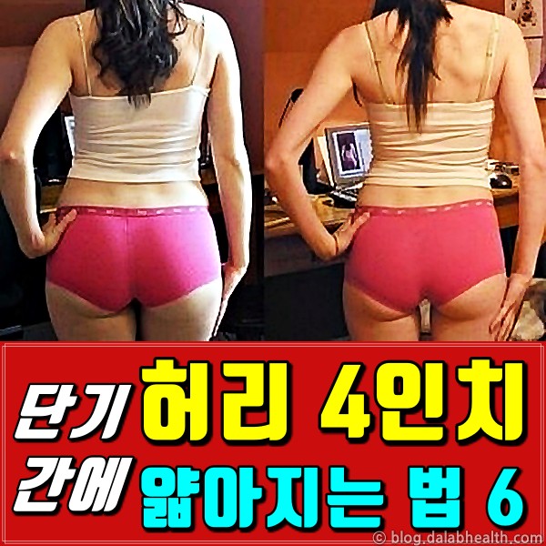 허리 4인치 줄이기,허리 얇아지는법,단기간 다이어트,팁줌