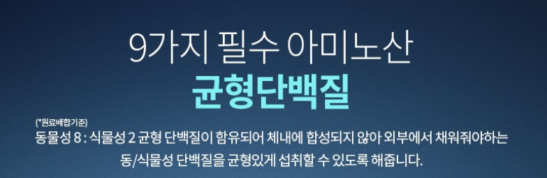 9가지 필수 아미노산 역할