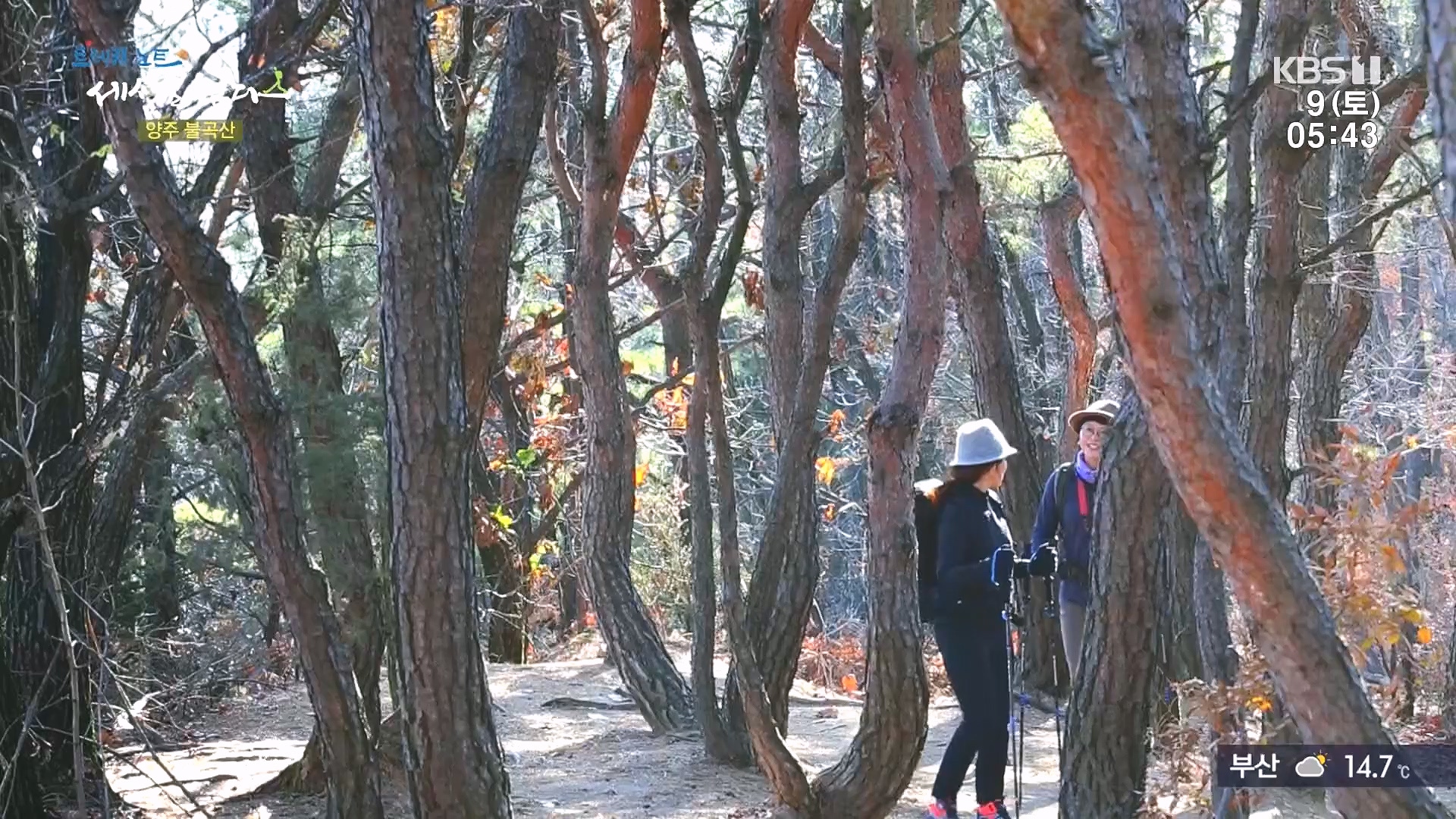 트레킹노트 세상을 걷다.E298.231209p.H264-F1RST.mp4_20240105_205426.817.jpg