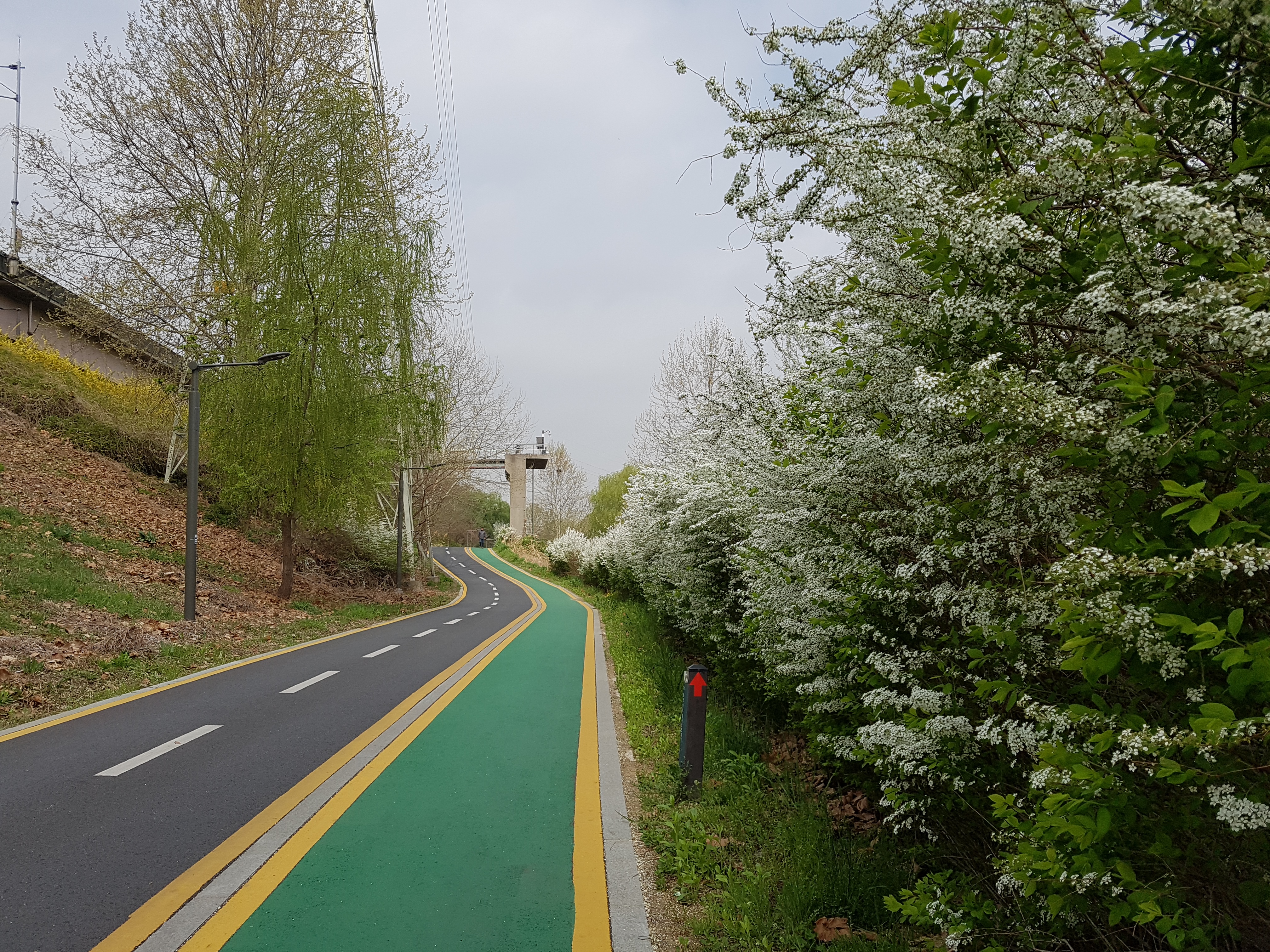 서울 자전거 성남시