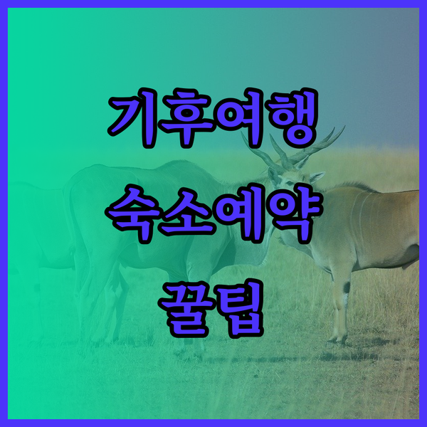 기후 여행 숙소 예약 전 필독 기후 