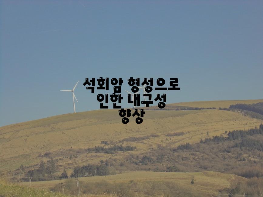 석회암 형성으로 인한 내구성 향상
