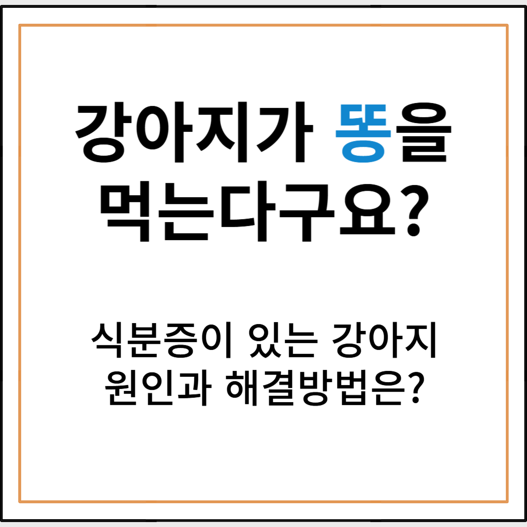 강아지 식분증, 왜 생기고 어떻게 해결할까?