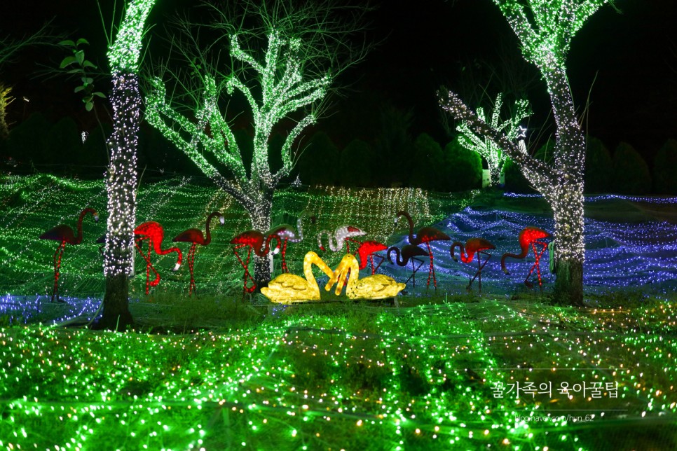 경북 축제 경북 아이와가볼만한곳 청도 52