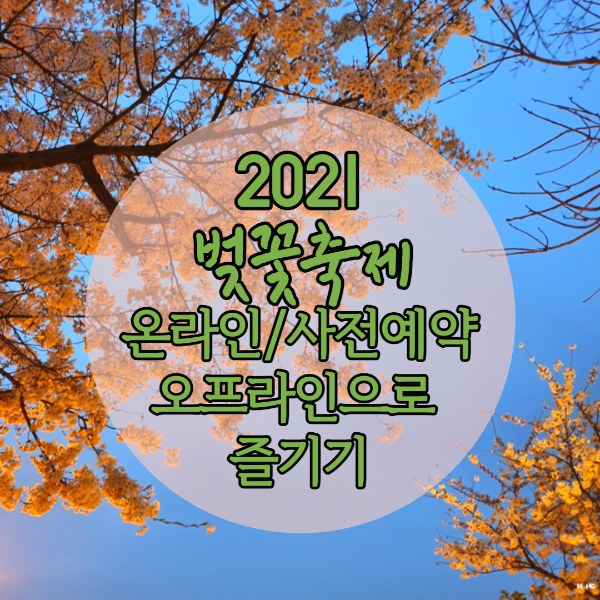  여의도 벚꽃축제 / 봄꽃축제 / 온라인 봄꽃축제
