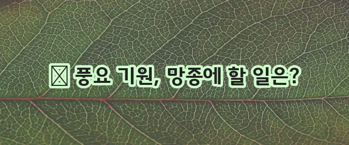 망종 절기에는 어떤 일을 해야 할까요 궁금하네요!