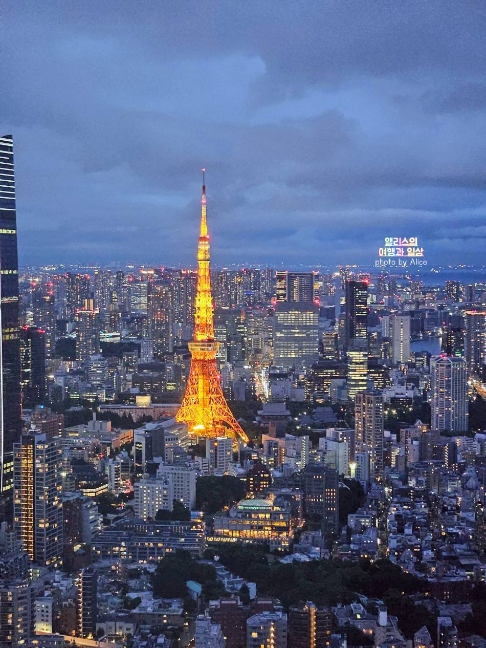도쿄 타워가 보이는 롯폰기힐즈 전망대 도쿄 시티 뷰&#44; 도쿄 야경 추천