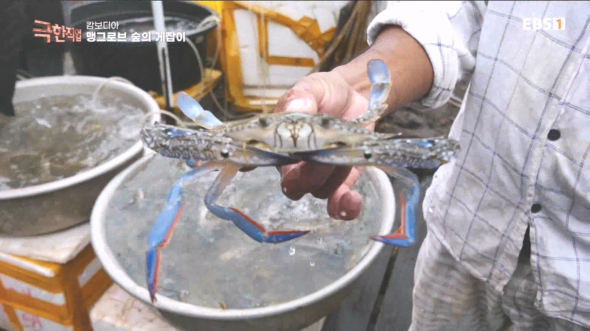 물뱀 사냥과 맹르로브숲의 게잡이 231021.mp4_20231025_204403.718.jpg