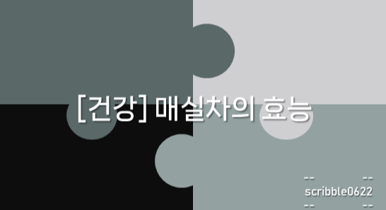  [건강] 매실차의 효능에 대해서