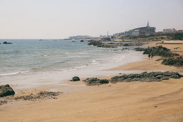 청도 여행 가볼만한곳 소싸움 경기장 입장료_7