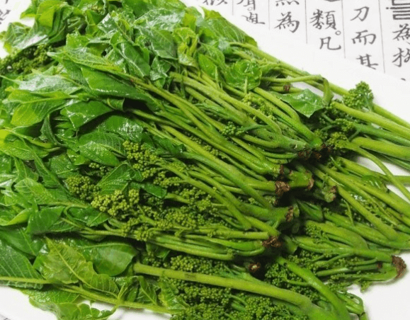 옻순&#44; 맛있게 즐기는 방법 완벽 가이드!