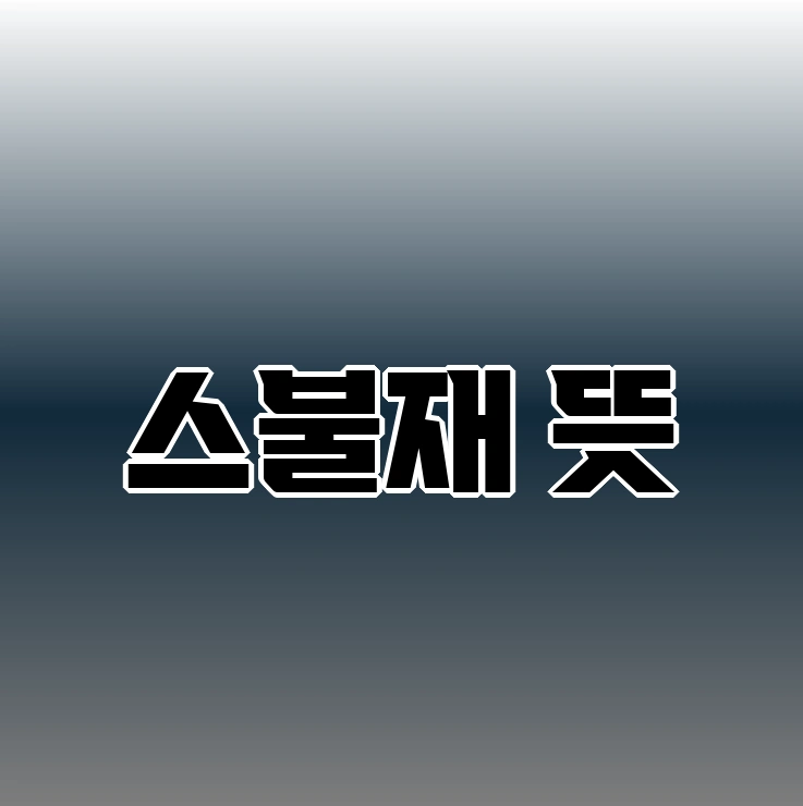 스불재 뜻 | 생기는 이유 알아보기 - 결론 스불재 뜻 | 생기는 이유 알아보기 - 결론
