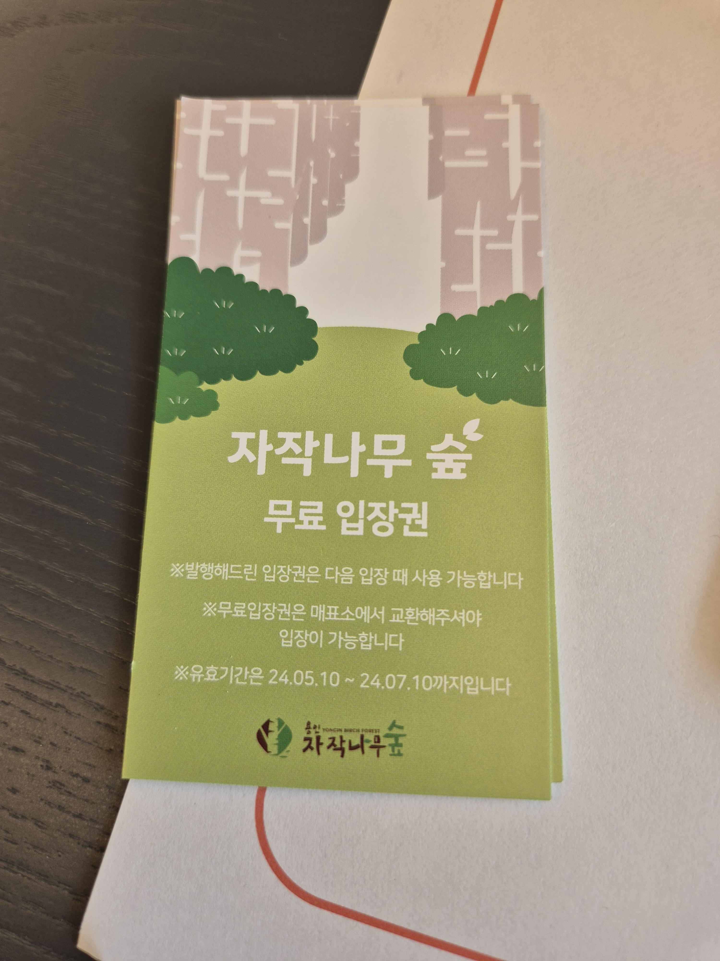 용인 자작나무 숲 무료 입장권