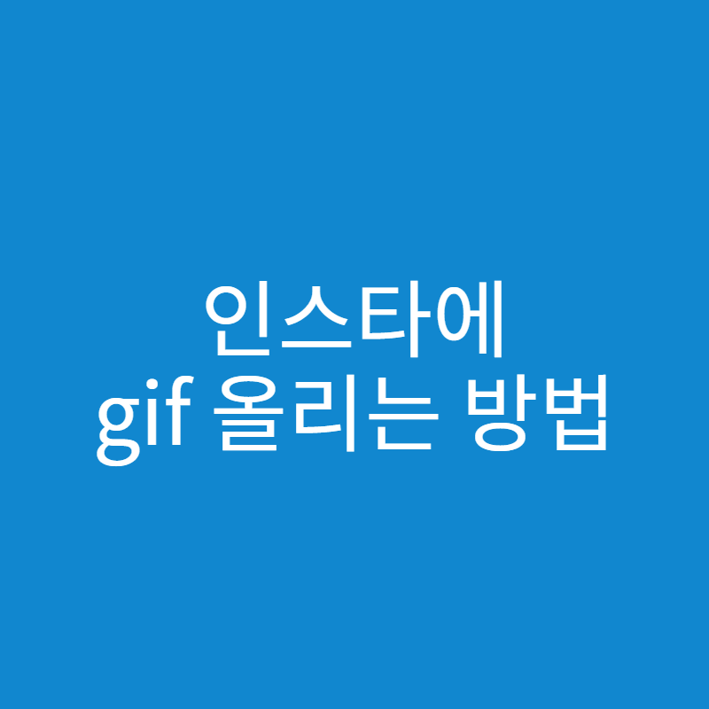  인스타 gif 올리기 방법
