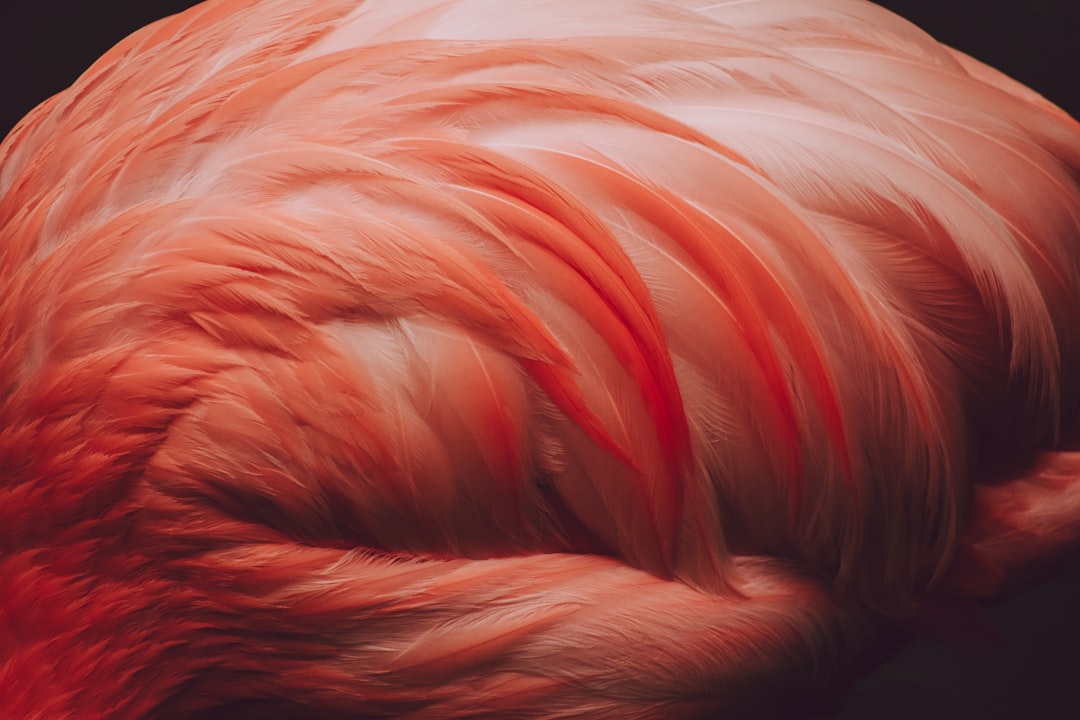 Scalp