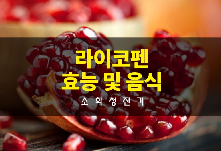 리코펜 효과 및 리코펜 풍부한 음식 참고 7