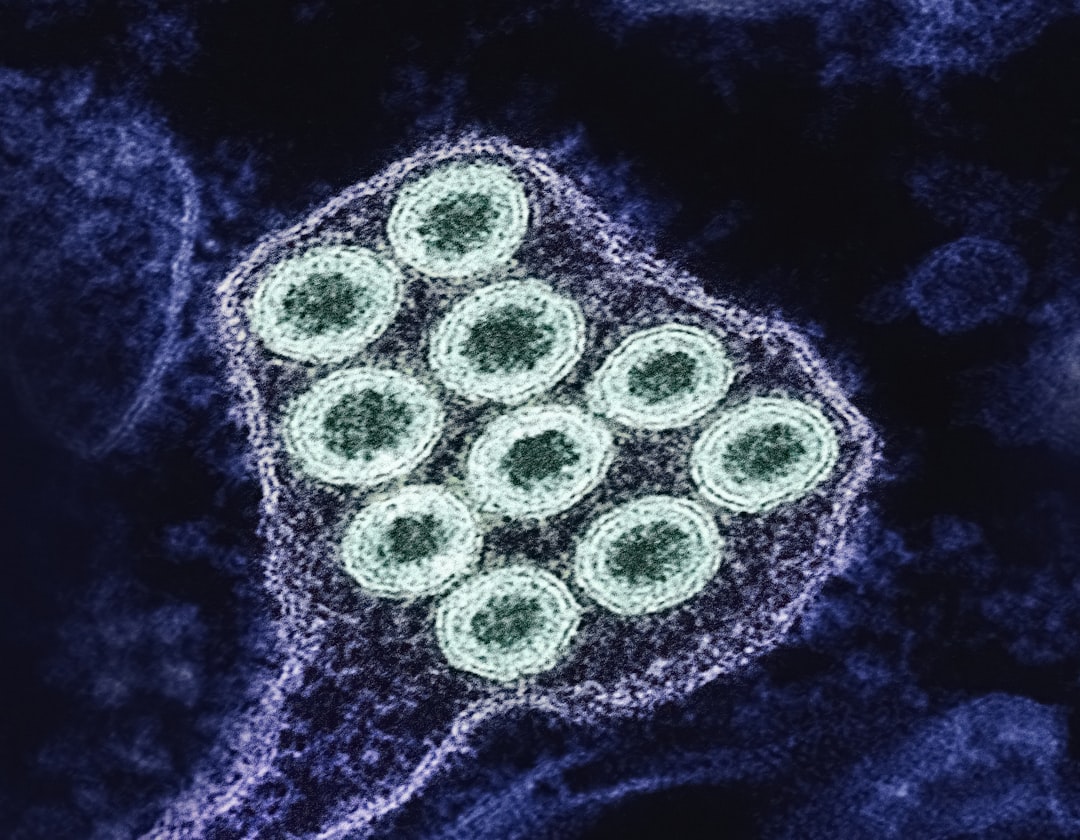 Helicobacter