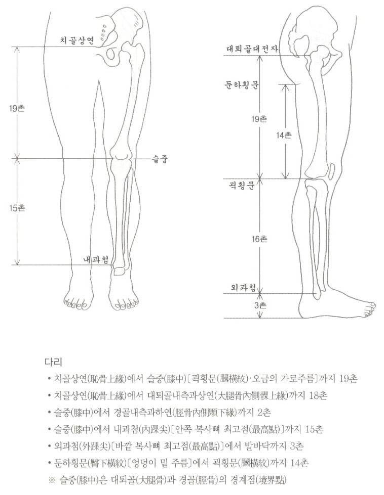 골도분촌법 - 골도분촌법(骨度分寸法) 이란? 골도분촌법 - 골도분촌법(骨度分寸法) 이란?